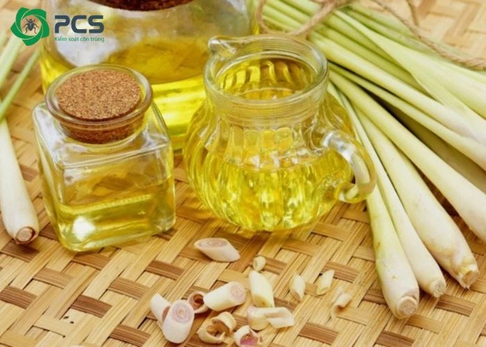 tinh dầu sả có đuổi được gián không